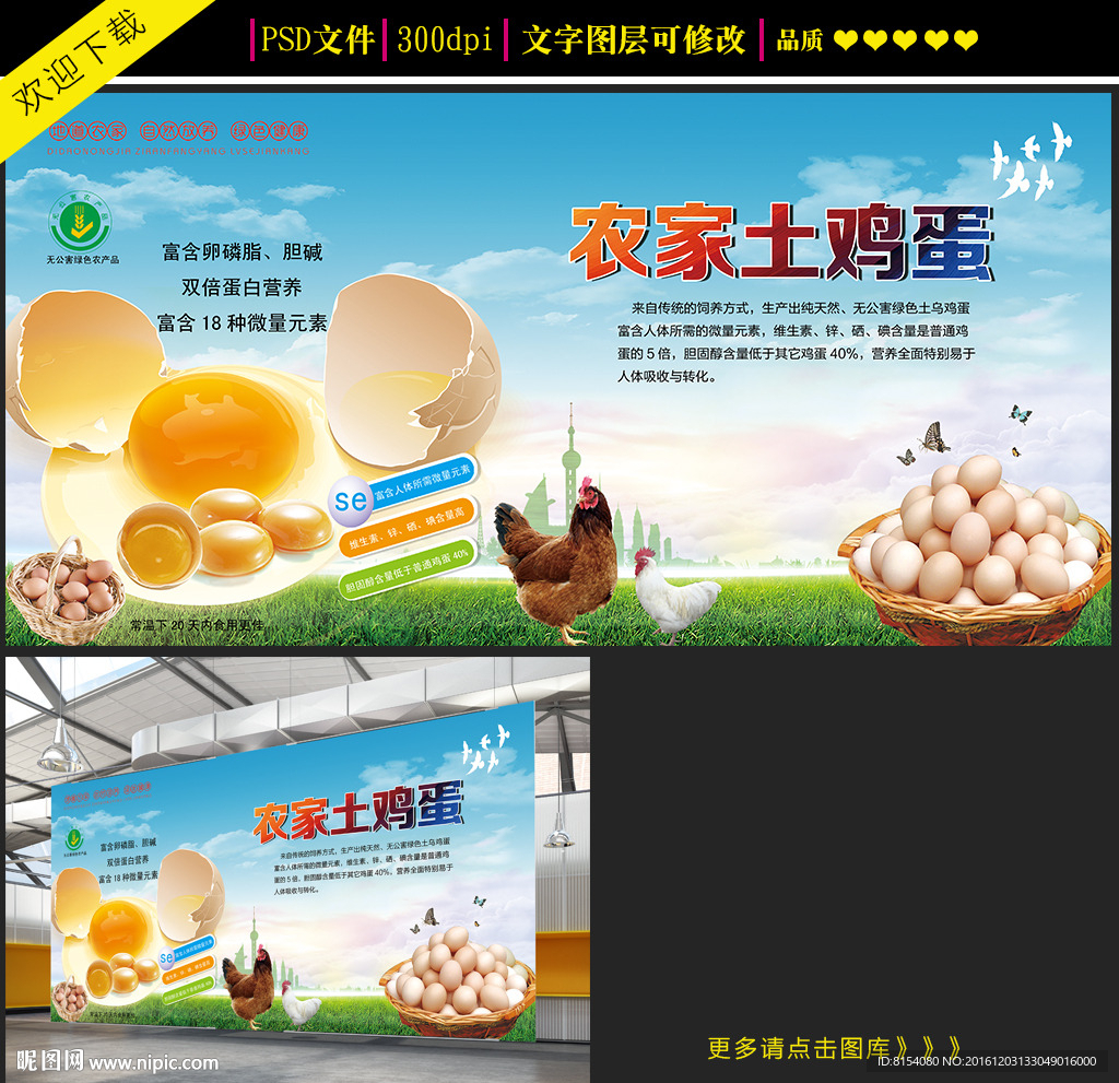 土鸡蛋宣传海报设计