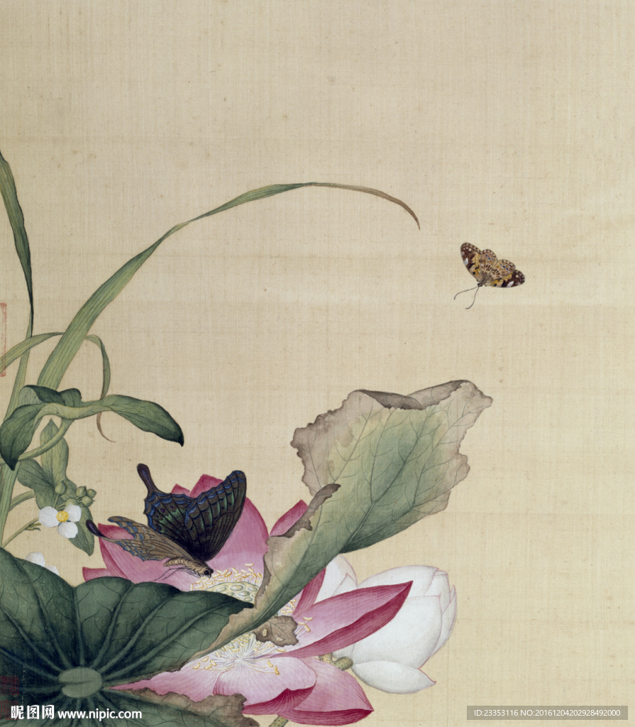 古典花草