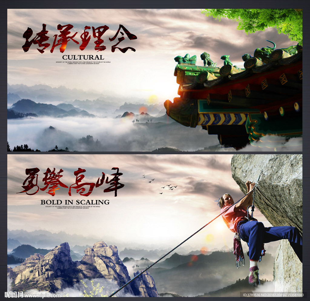 公司文化