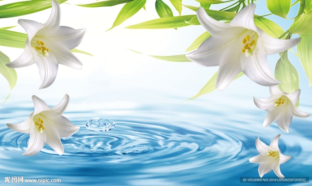 白色花朵水滴背景墙