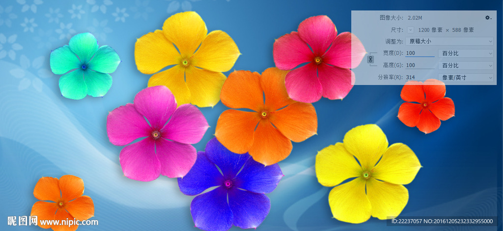 花瓣花朵背景底图底纹