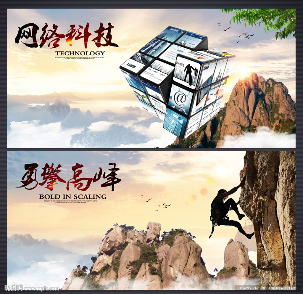 网络科技科