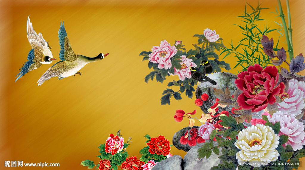 牡丹花