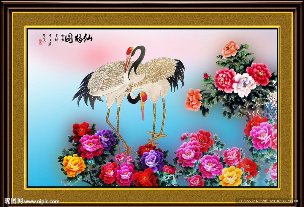 牡丹花