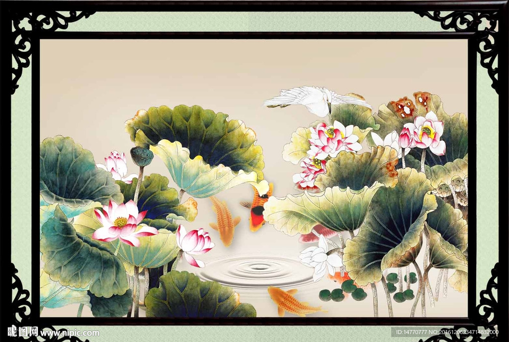 荷花鲤鱼