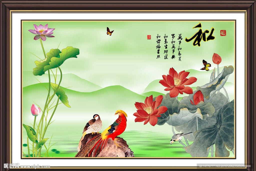 荷花图