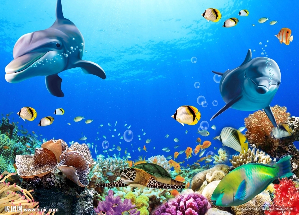 爱丽舍3D海豚背景墙