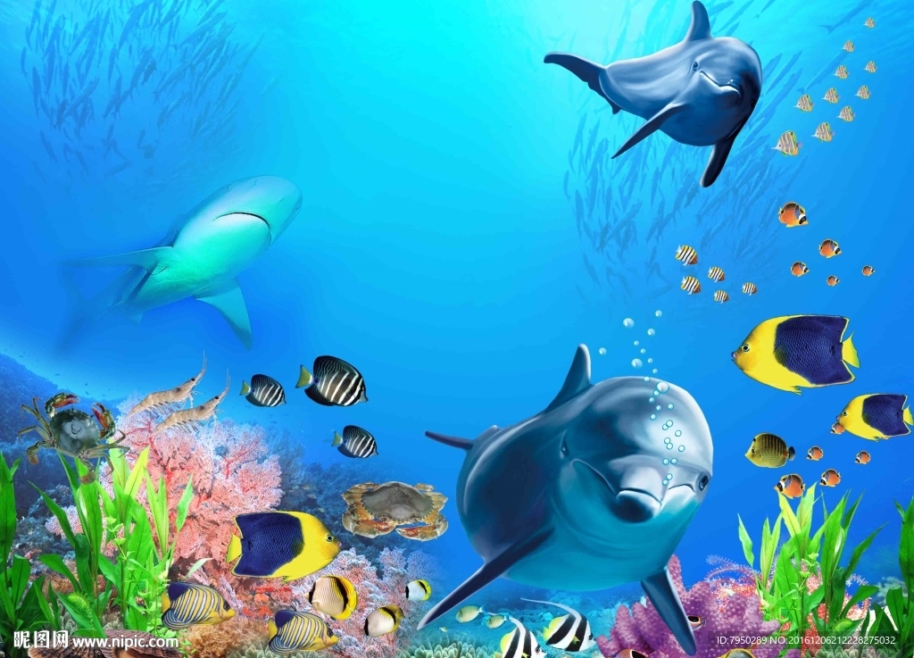 爱丽舍3D海豚背景墙