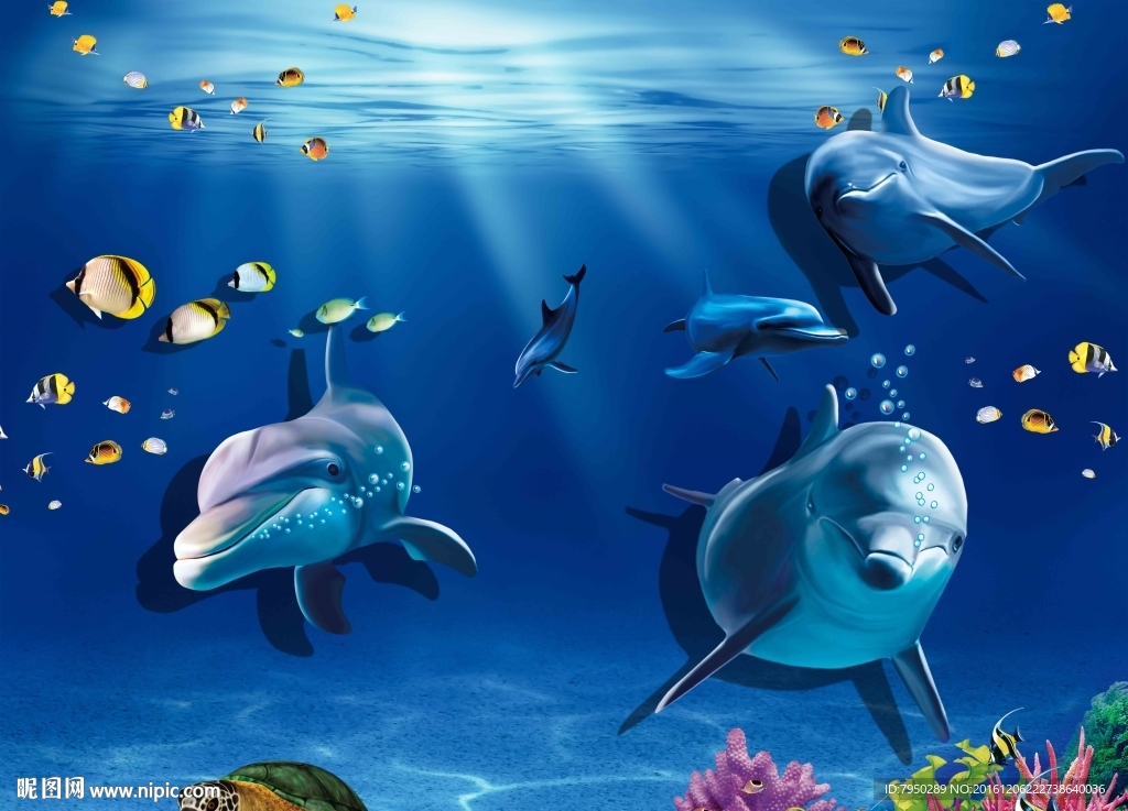 爱丽舍3D海豚背景墙