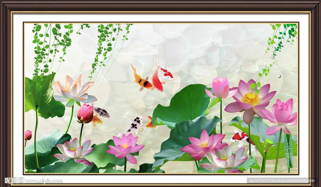 荷花鲤鱼图