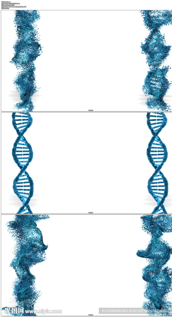 基因dna