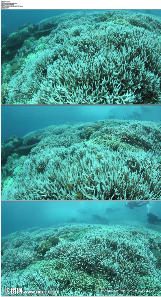 海底潜水