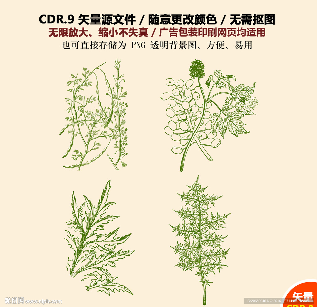 手绘植物花草矢量图
