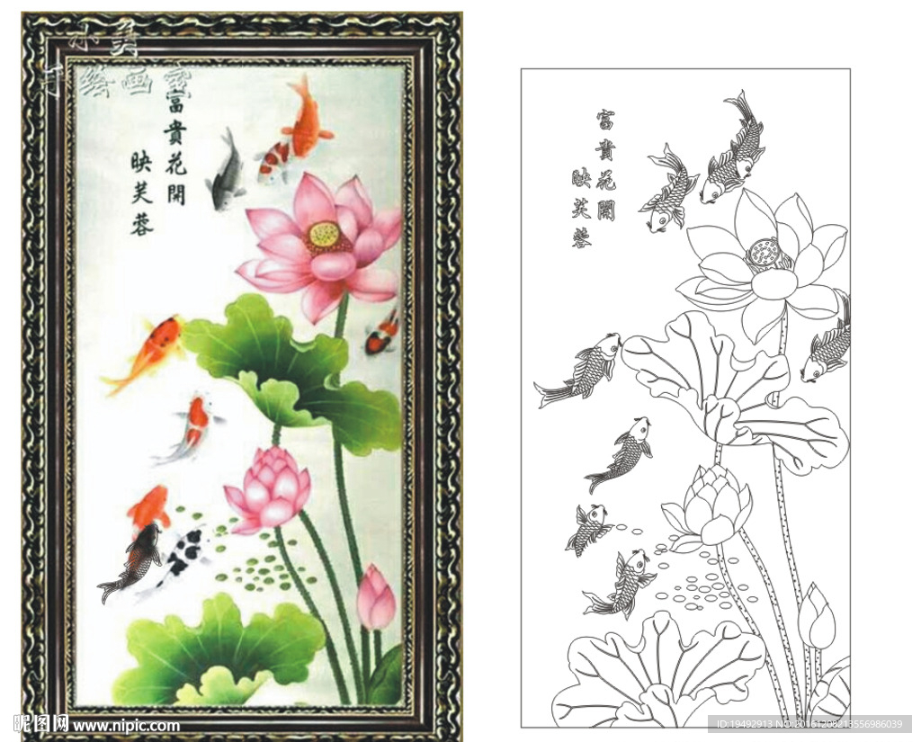 荷花鱼 花开富贵