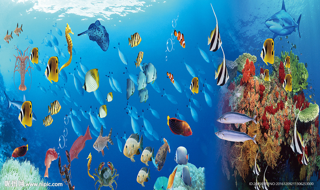 高清海底世界图片（不分层）