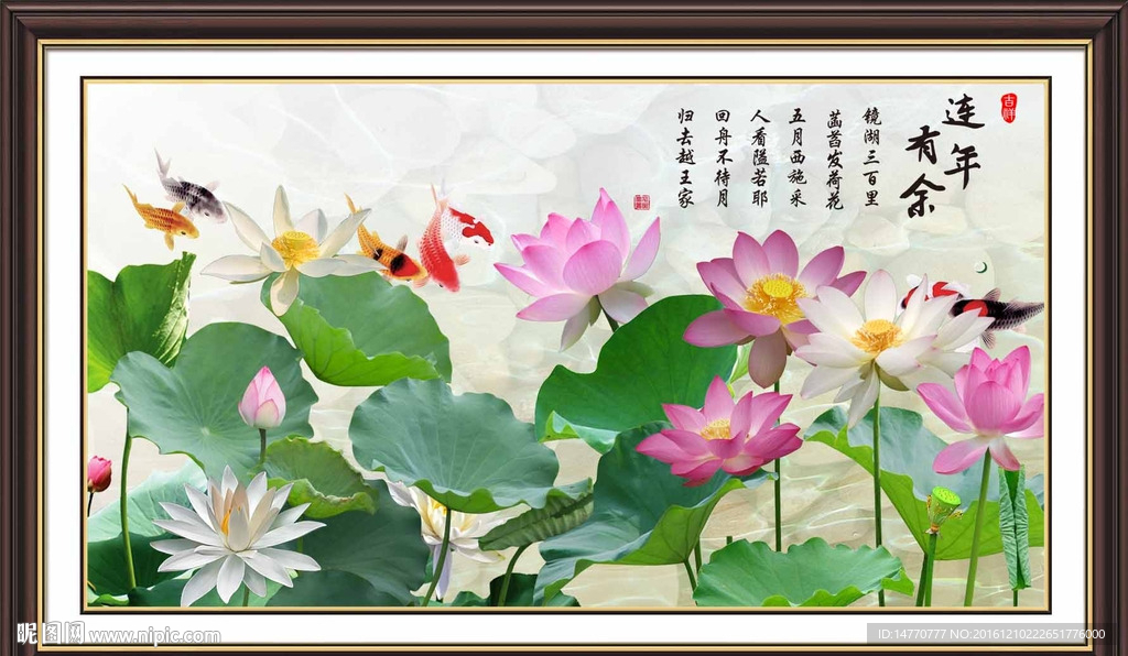 荷花图