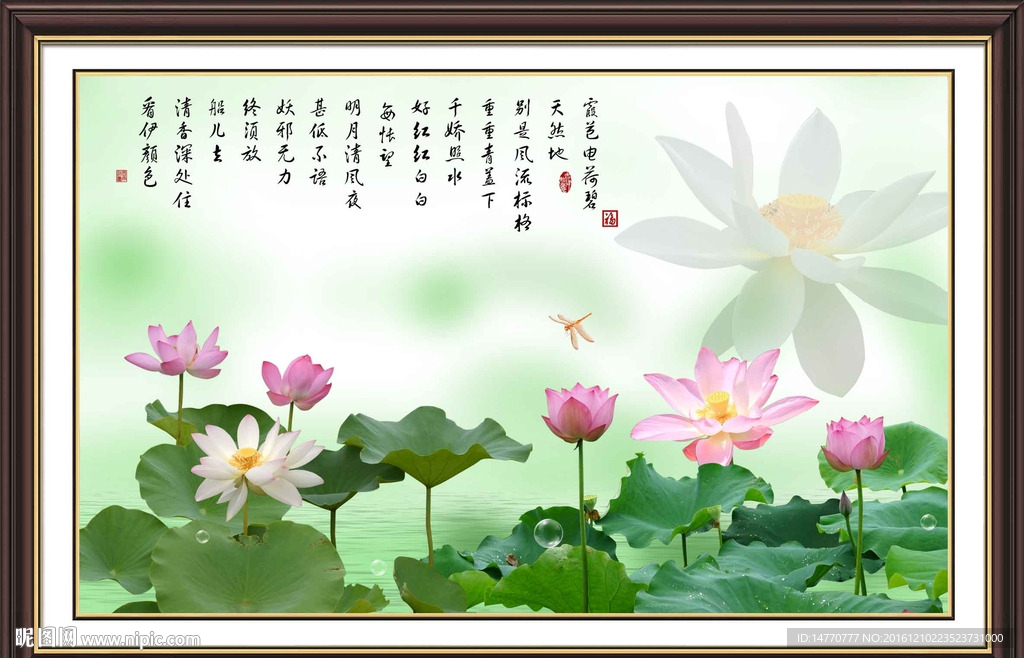 荷花图