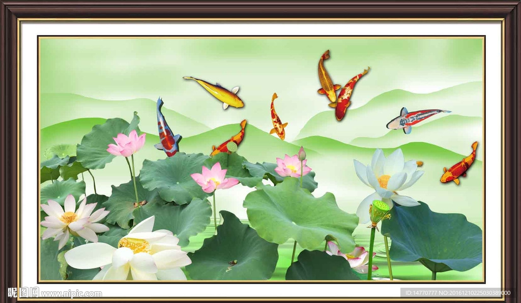 荷花鲤鱼图