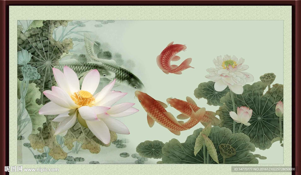 荷花鲤鱼图