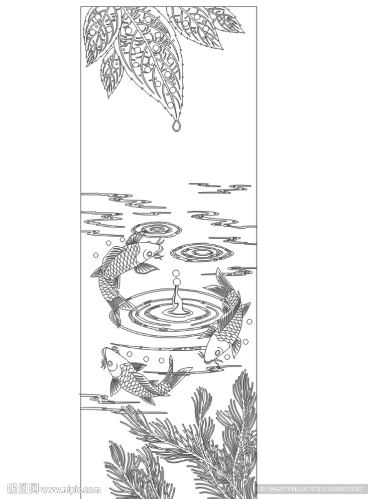 滴水 鱼 叶
