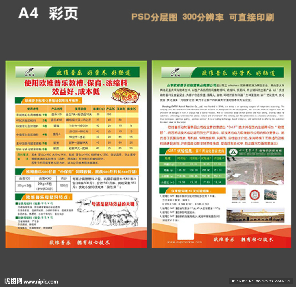 猪饲料彩页