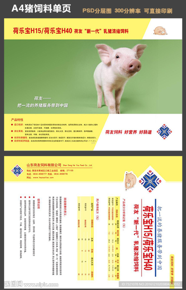 猪饲料单页