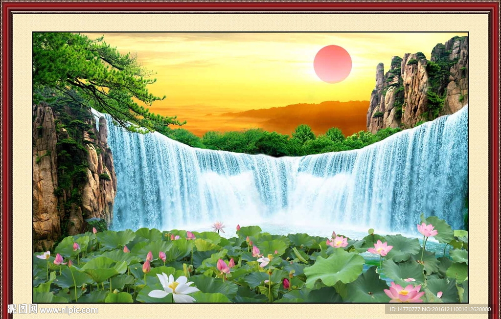 荷花 山水风景