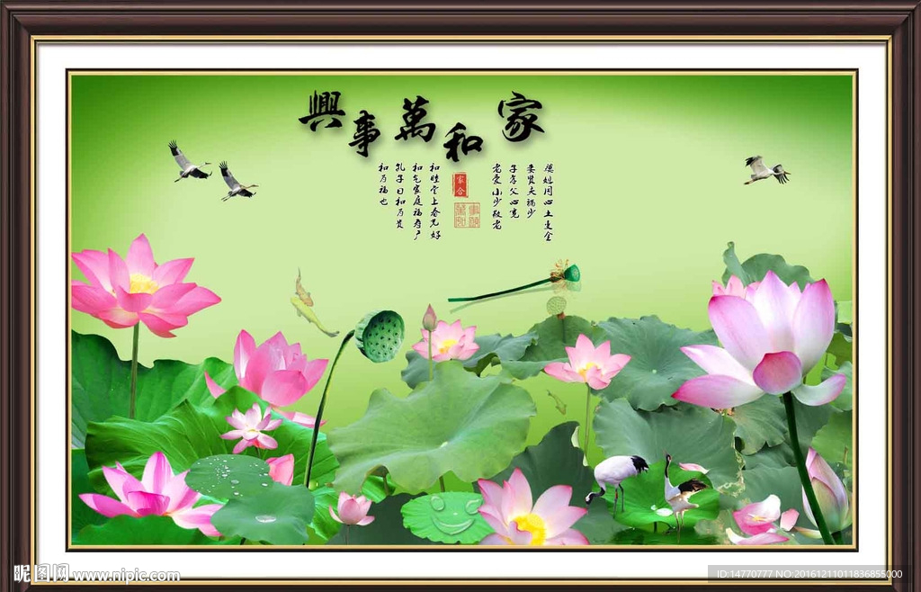 荷花图