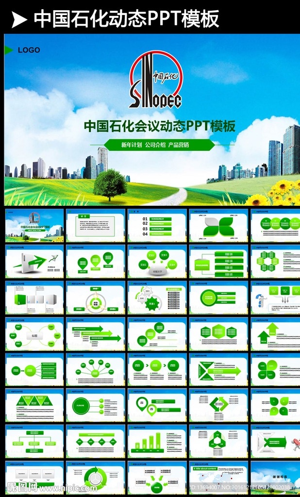 中国石化石油工业天然气2017