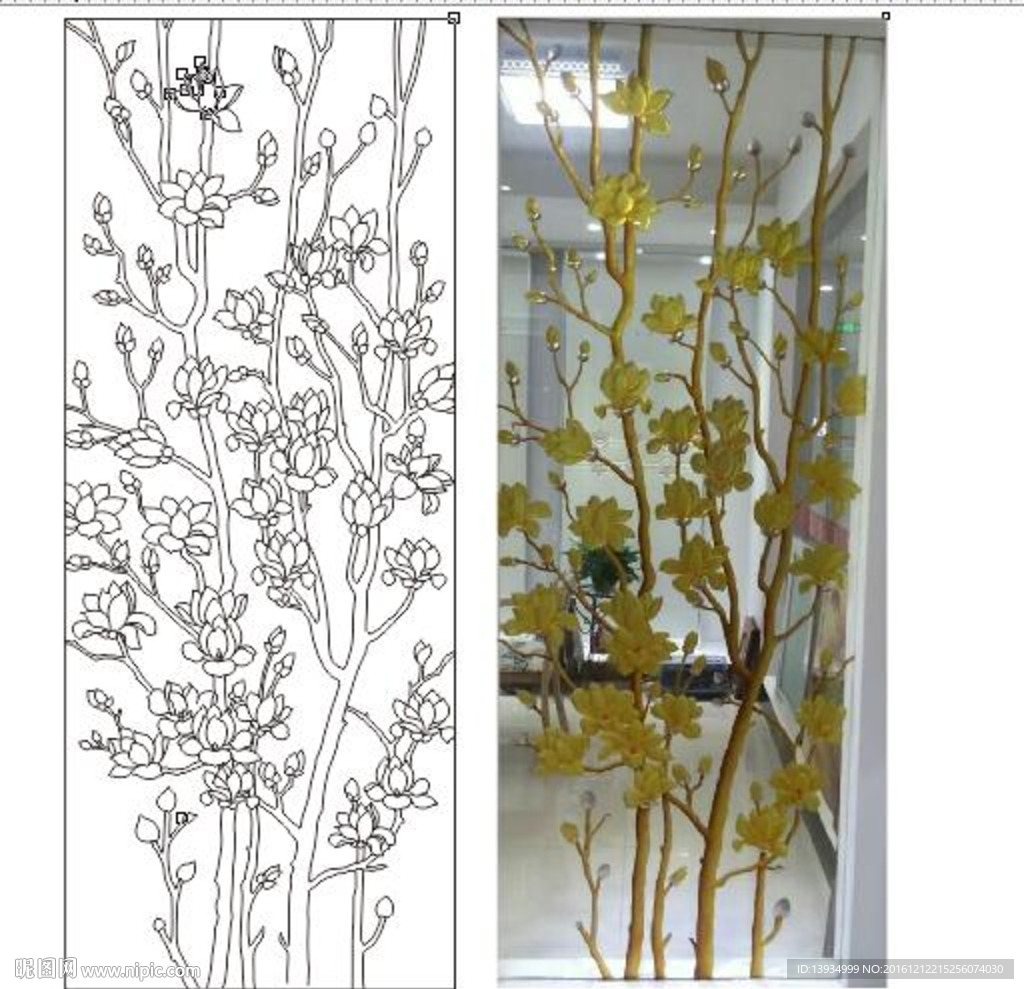 玉兰花