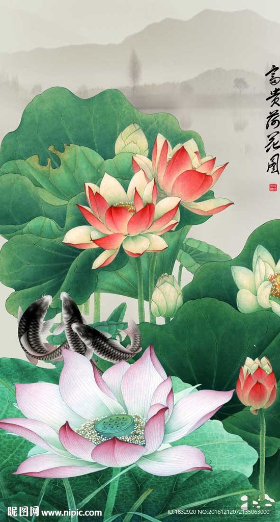 荷花