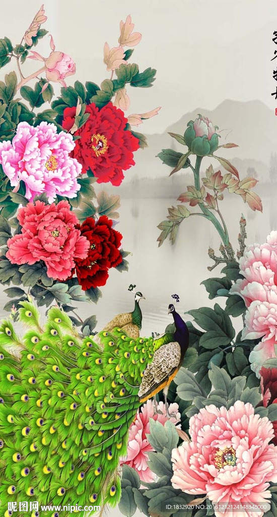 孔雀牡丹图