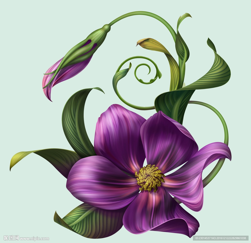 花卉