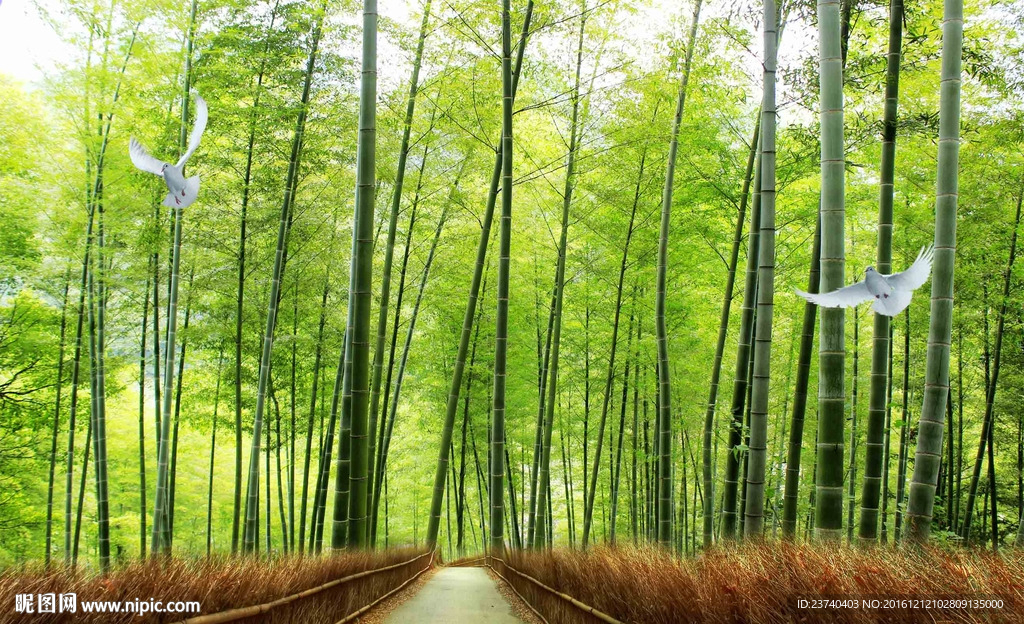 竹林电视背景墙