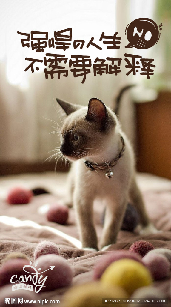 猫海报