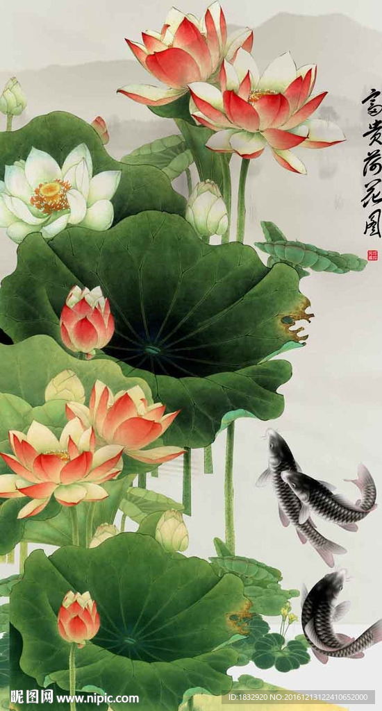 荷花图