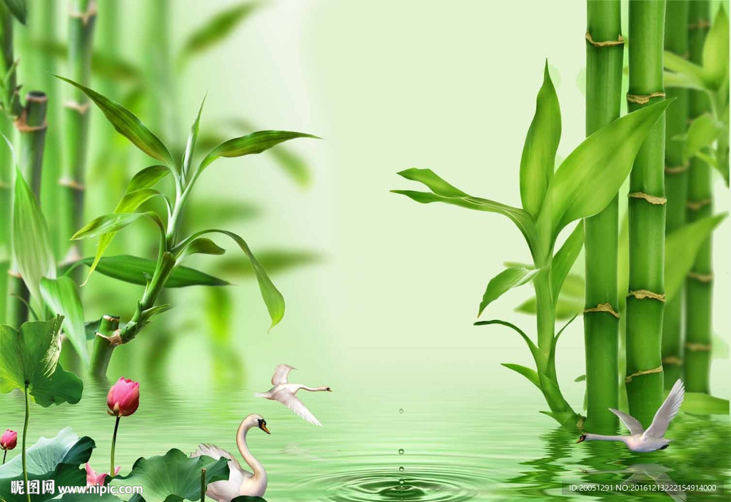 竹子背景墙