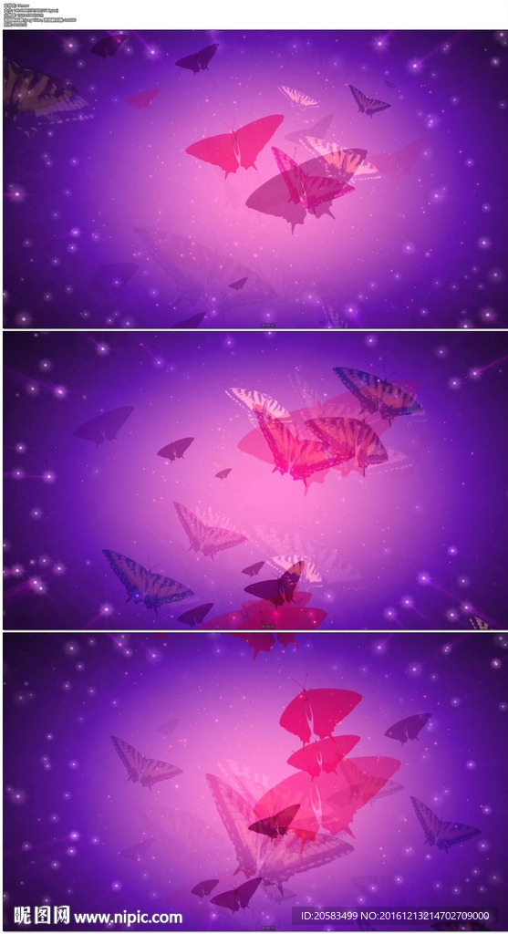 蝴蝶梦幻背景