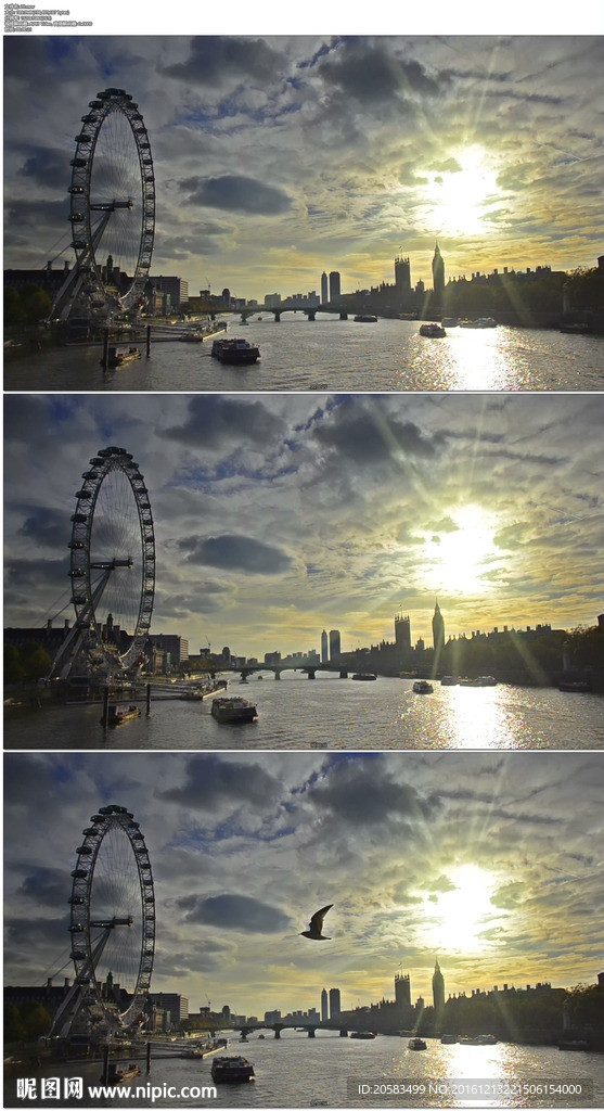 伦敦泰晤士河夕阳剪影