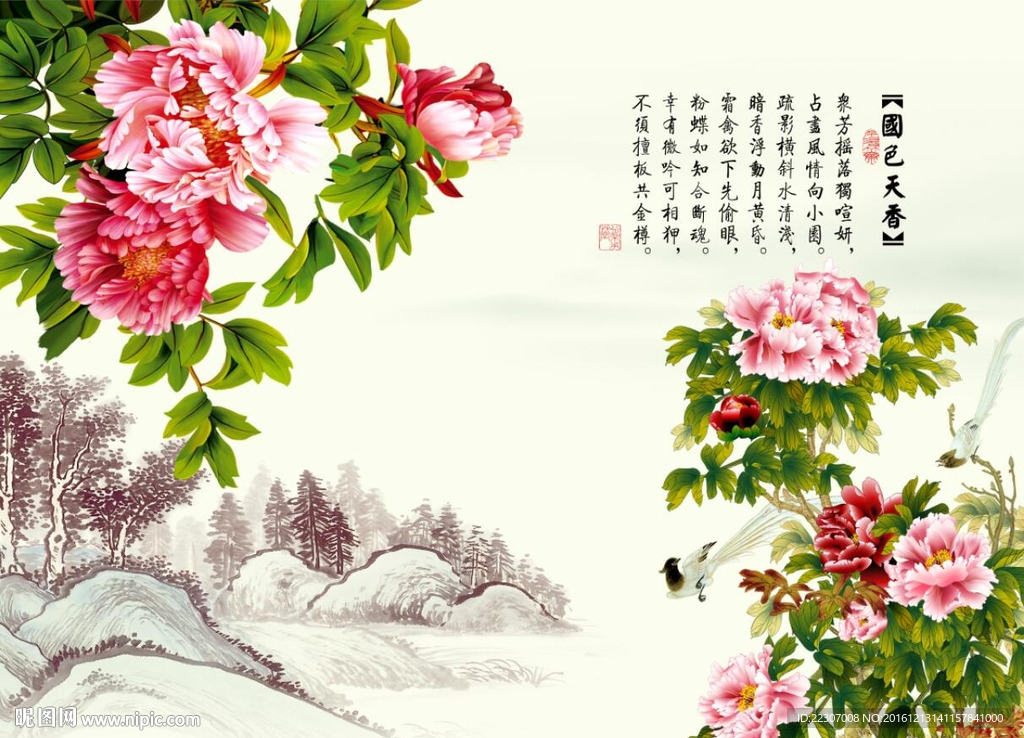 国色天香牡丹花