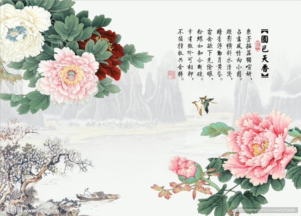 国色天香牡丹花