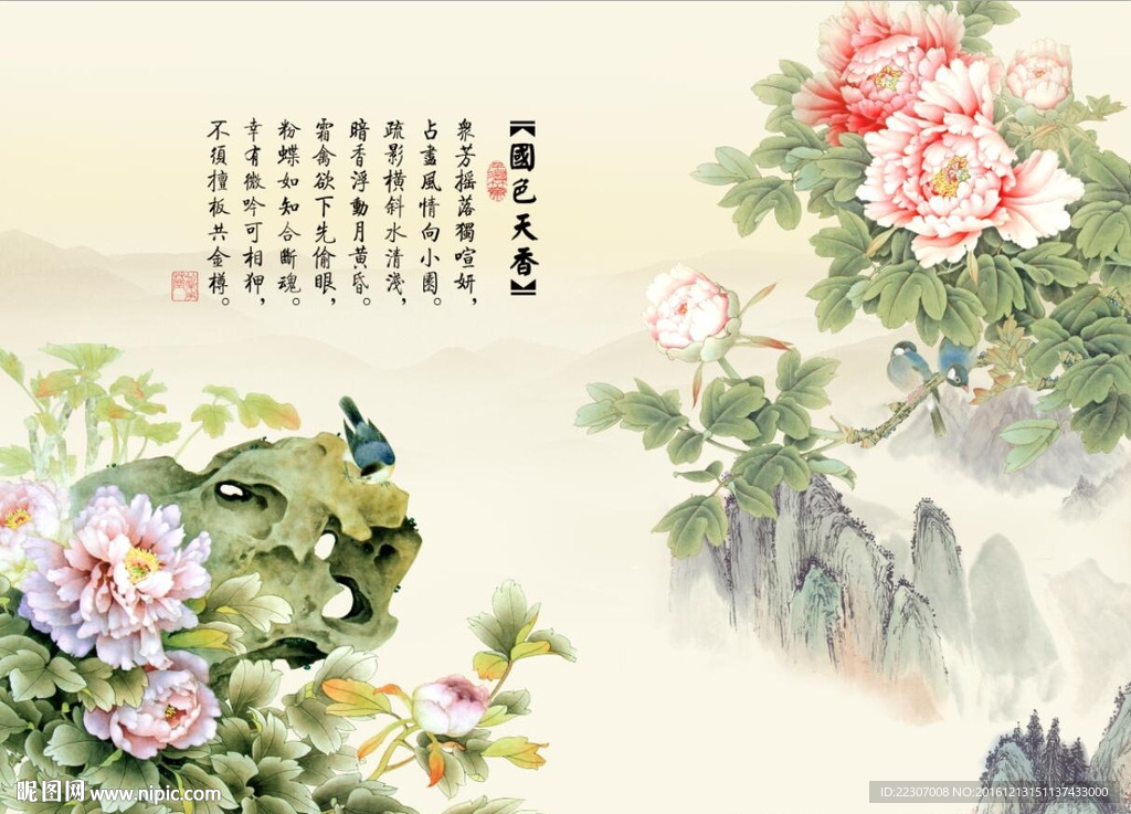 国色天香牡丹花