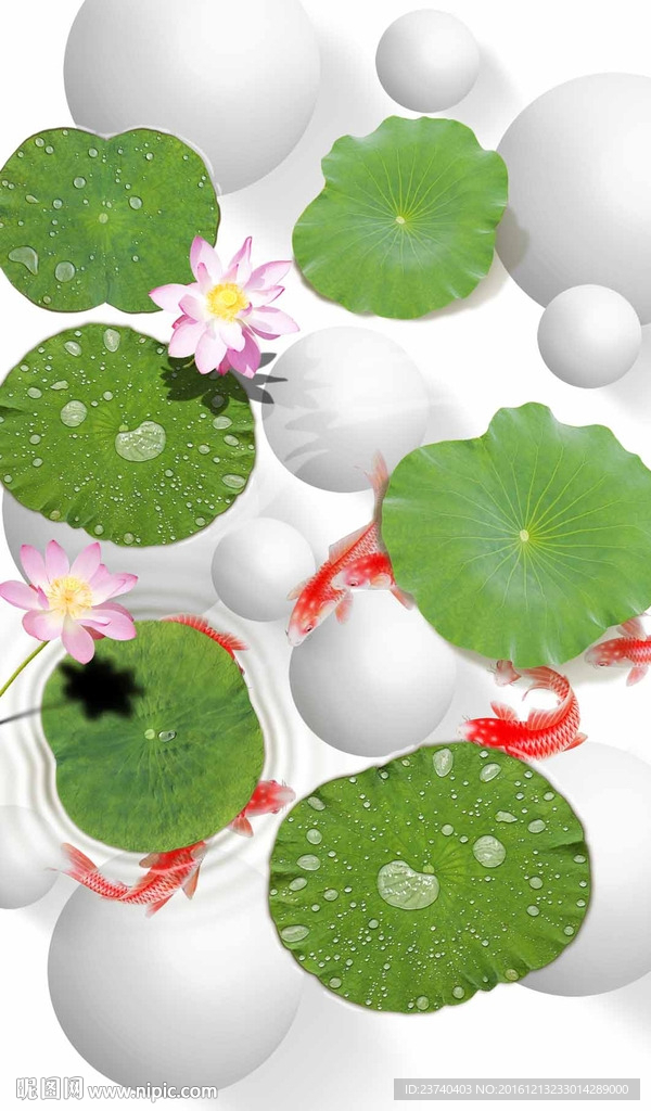 3d荷花玄关
