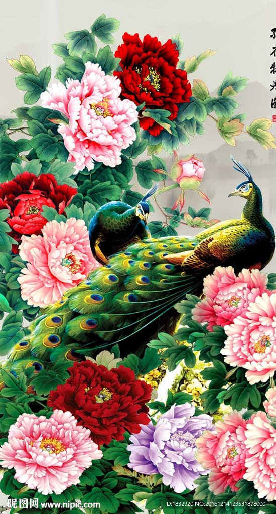 孔雀牡丹图