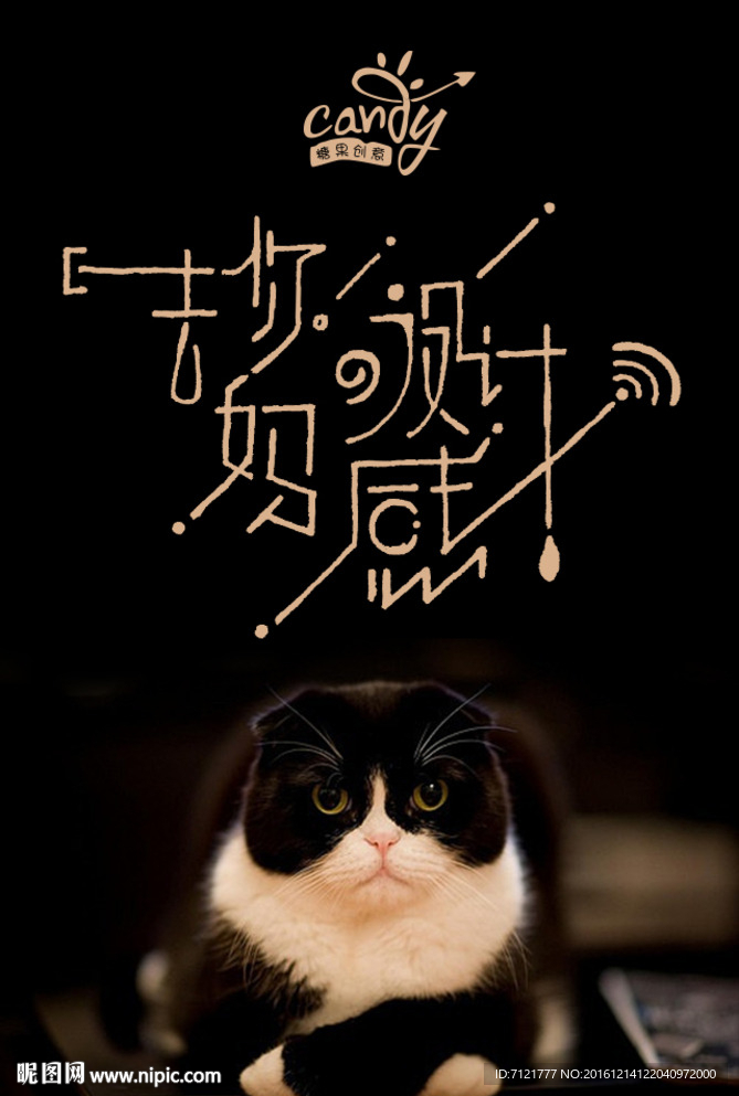 猫海报