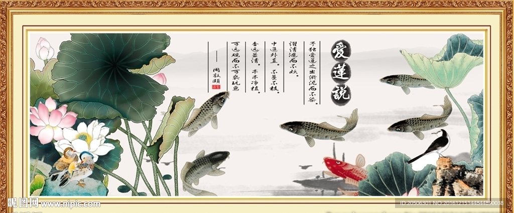 荷花