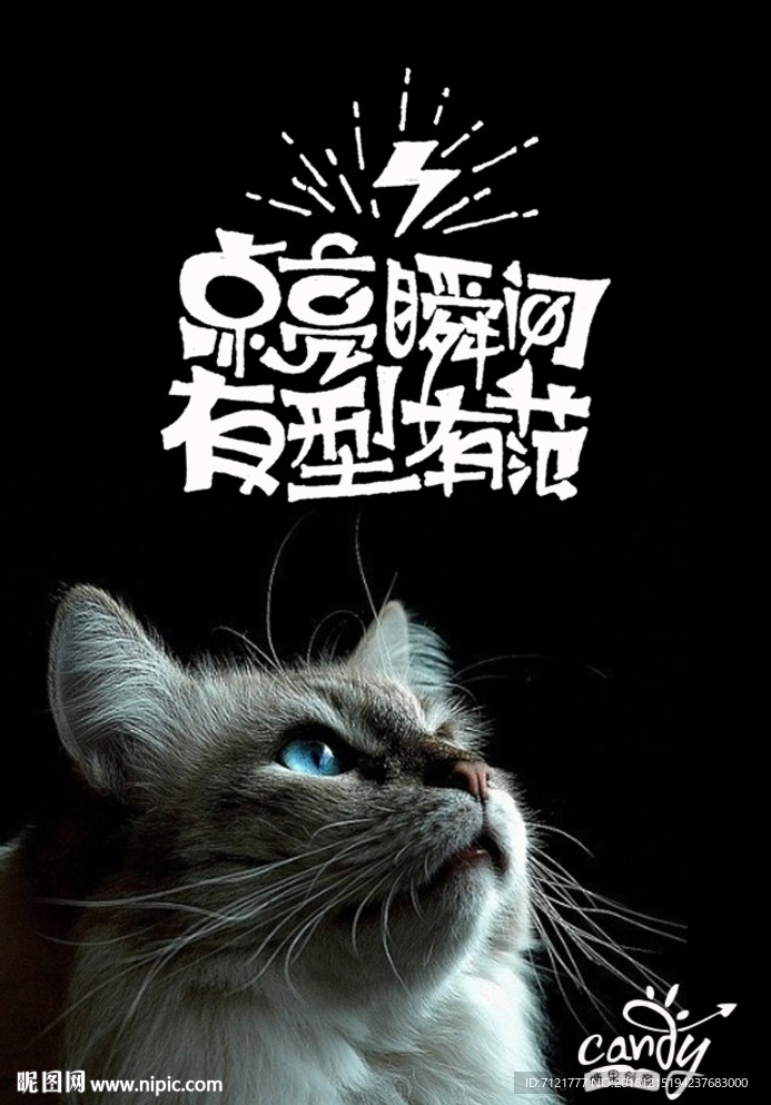猫海报