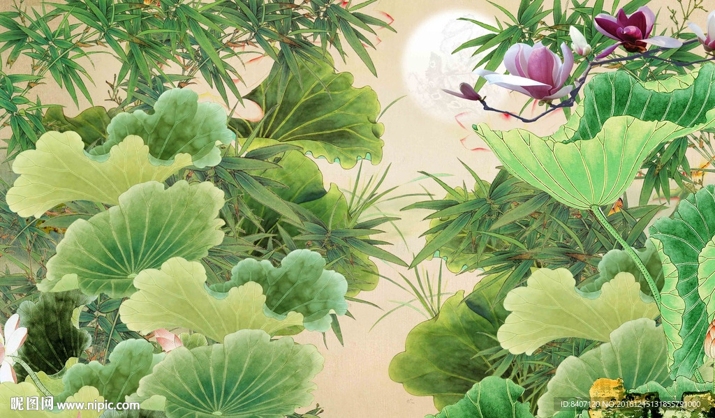 国画荷花