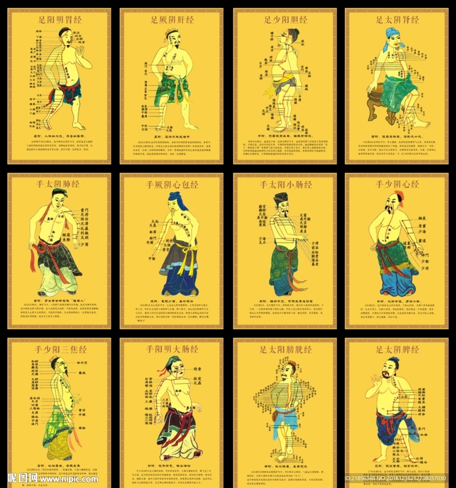 经络养生图  中医养生