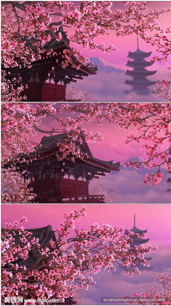 樱花时节动态背景